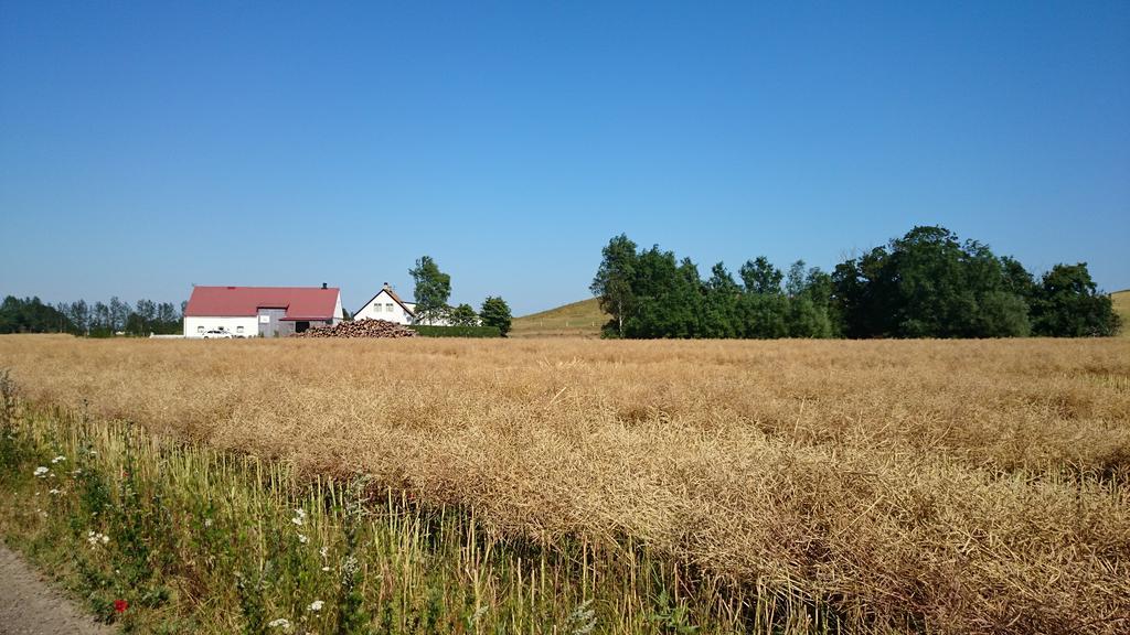 Bed & Breakfast Vinkille Löderup Exterior foto
